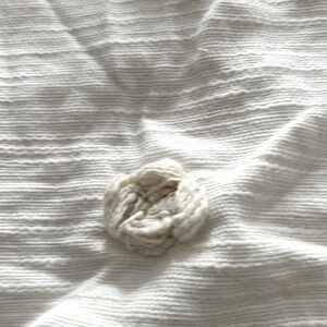 Anthropologie Standard Size Pillow Shams